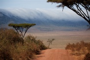 ngorongoro crater african safari